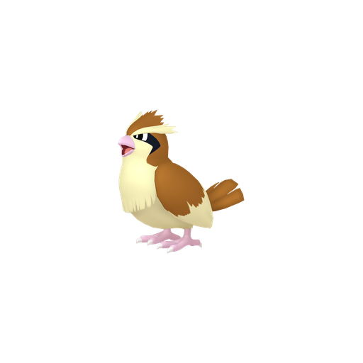 Pidgey