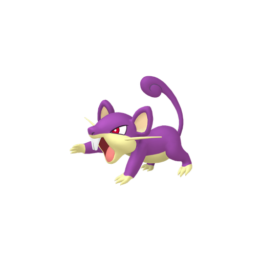 Rattata