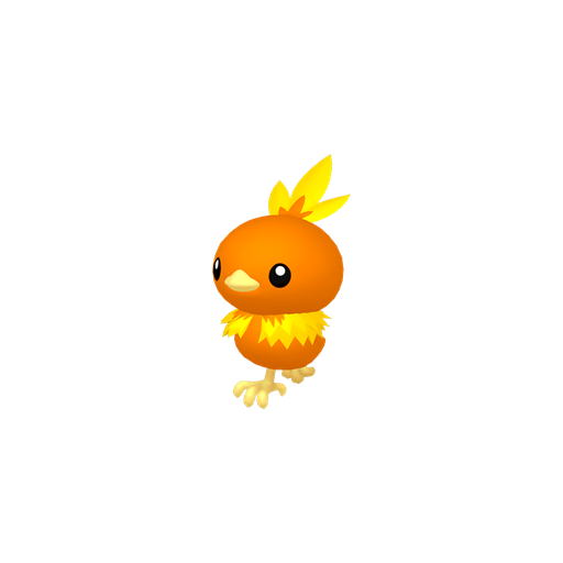 Torchic