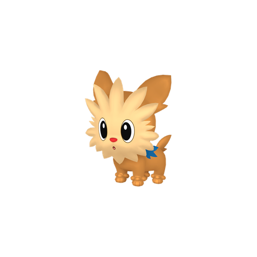 Lillipup