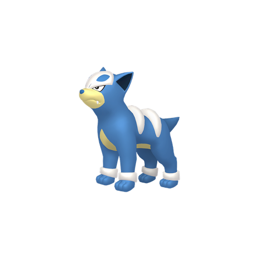 Shiny