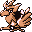 Spearow