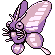 Venomoth
