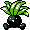 Oddish