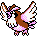 Pidgey