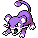 Rattata