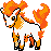 Ponyta