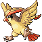 Pidgeot