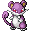 Rattata