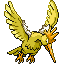 Shiny