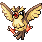 Pidgey
