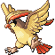 Pidgeot