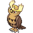 Noctowl