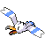 Wingull
