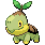 Turtwig