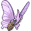 Venomoth