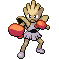 Hitmonchan