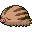 Swinub