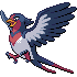 Swellow