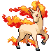 Rapidash