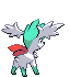 Back Shiny