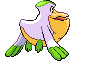 Back Shiny