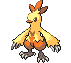 Shiny