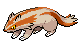 Shiny