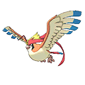 Mega Pidgeot