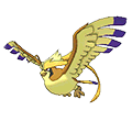 Shiny