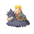 Shiny