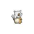 Cubone