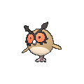 Hoothoot