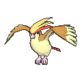 Pidgeot