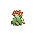 Bellossom