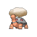 Torkoal