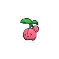 Cherubi