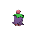 Cherrim