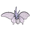 Venomoth
