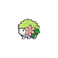 Land Shaymin