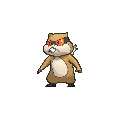 Patrat