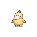 Psyduck
