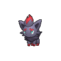 Zorua