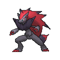 Zoroark