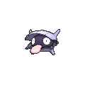 Shellder