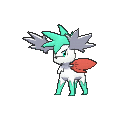 Shiny