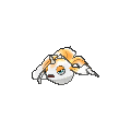 Shiny