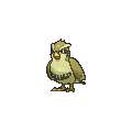 Shiny