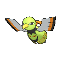 Shiny
