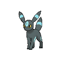 Shiny